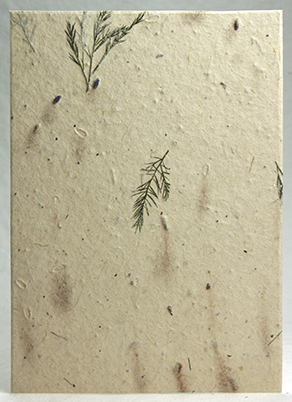 Recycled Lotka, lavender and treefern handmade paper