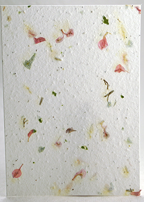 Pink Larkspur and Chard handmade paper