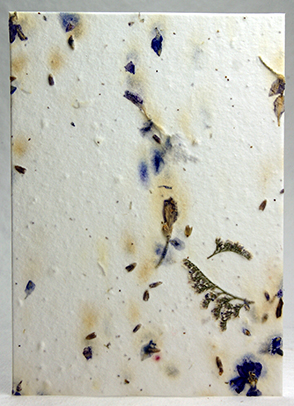 Larkspur, lavender, and misty handmade paper