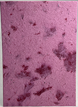 marble pink lotka #69s