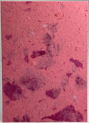 seeds and lotka fibers handmade paper