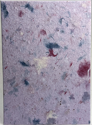 seeds and lotka fibers handmade paper