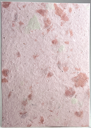 seeds, cotton, and pink lotka fibers handmade paper