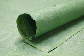 sage green paper roll